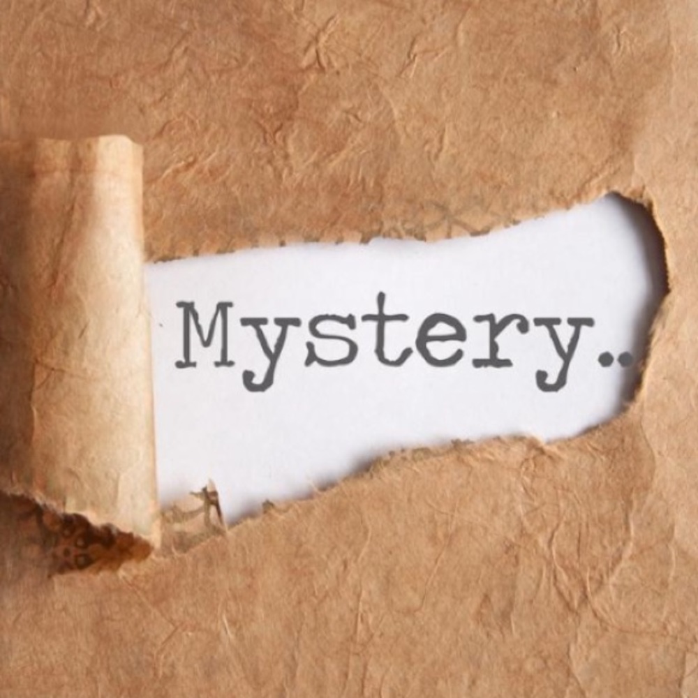 Mystery Book + Swag!